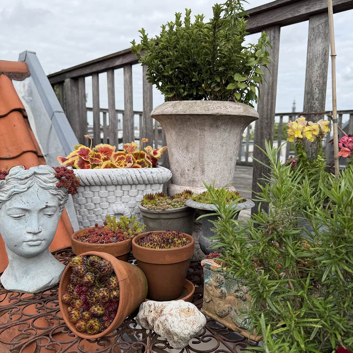 Oude potten met planten en een wit beeld.