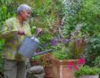 Arit Andersen geeft een pot vol zomerse planten, zoals verbena en pennisetum, water.