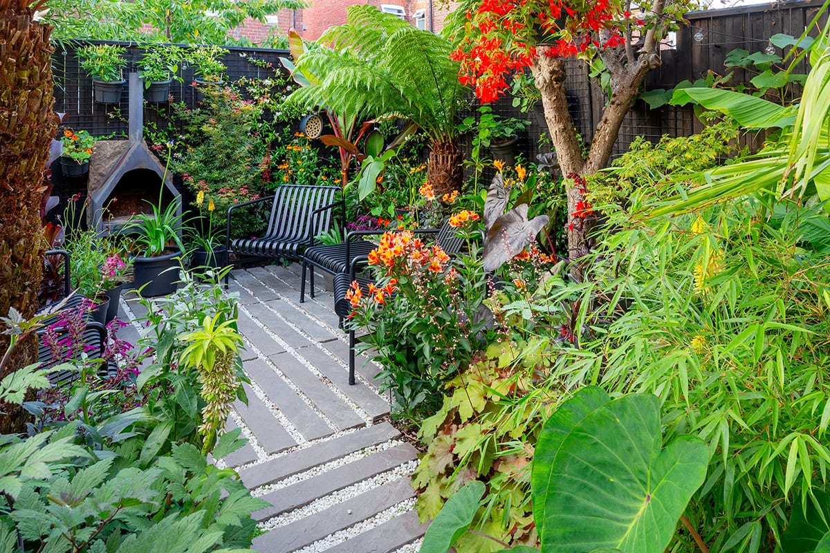 Tuin met veel tropische planten.