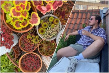 Links: planten op het dakterras. Rechts: Jan zittend op een bakje op zijn dakterras.