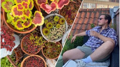 Links: planten op het dakterras. Rechts: Jan zittend op een bakje op zijn dakterras.