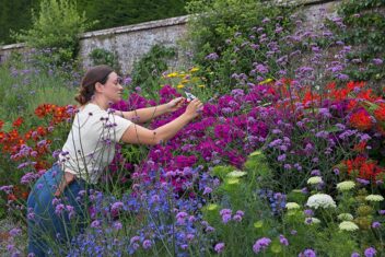 Vrouw knipt bloemen uit planten