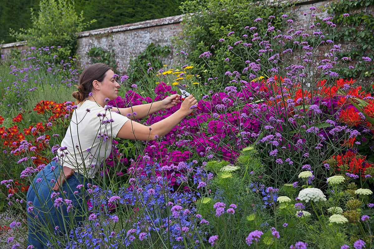Vrouw knipt bloemen uit planten