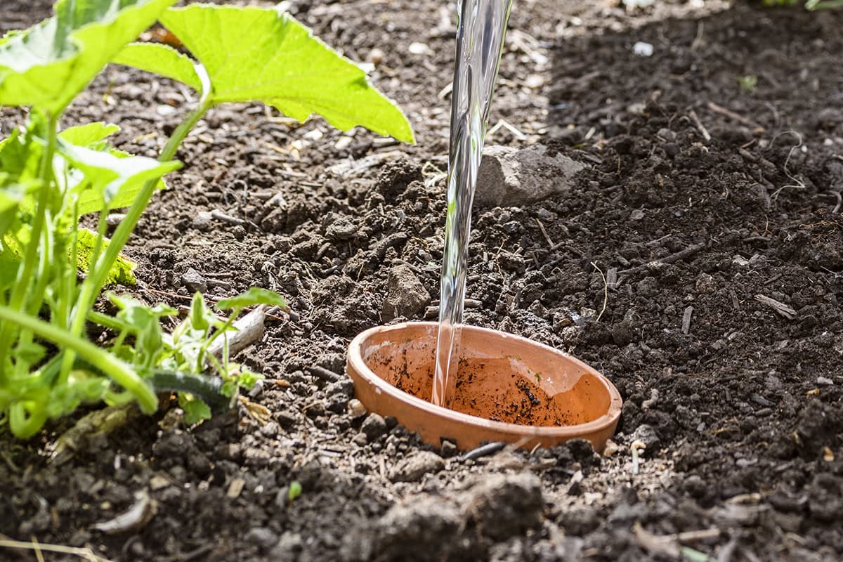 Er is een potje ingegraven in de bodem, waar water in wordt gegoten.