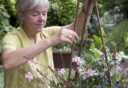 Vrouw is bezig met potplant en stokken in de tuin.