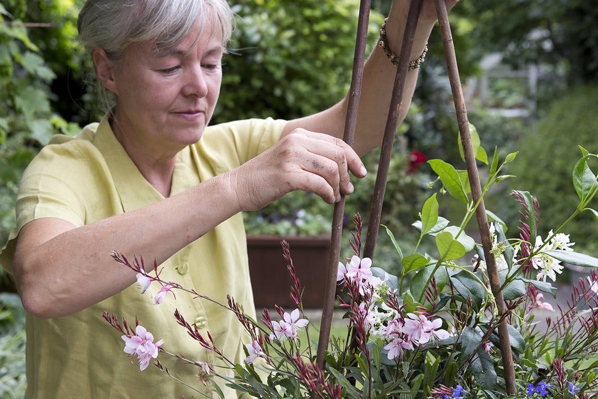 Vrouw is bezig met potplant en stokken in de tuin.