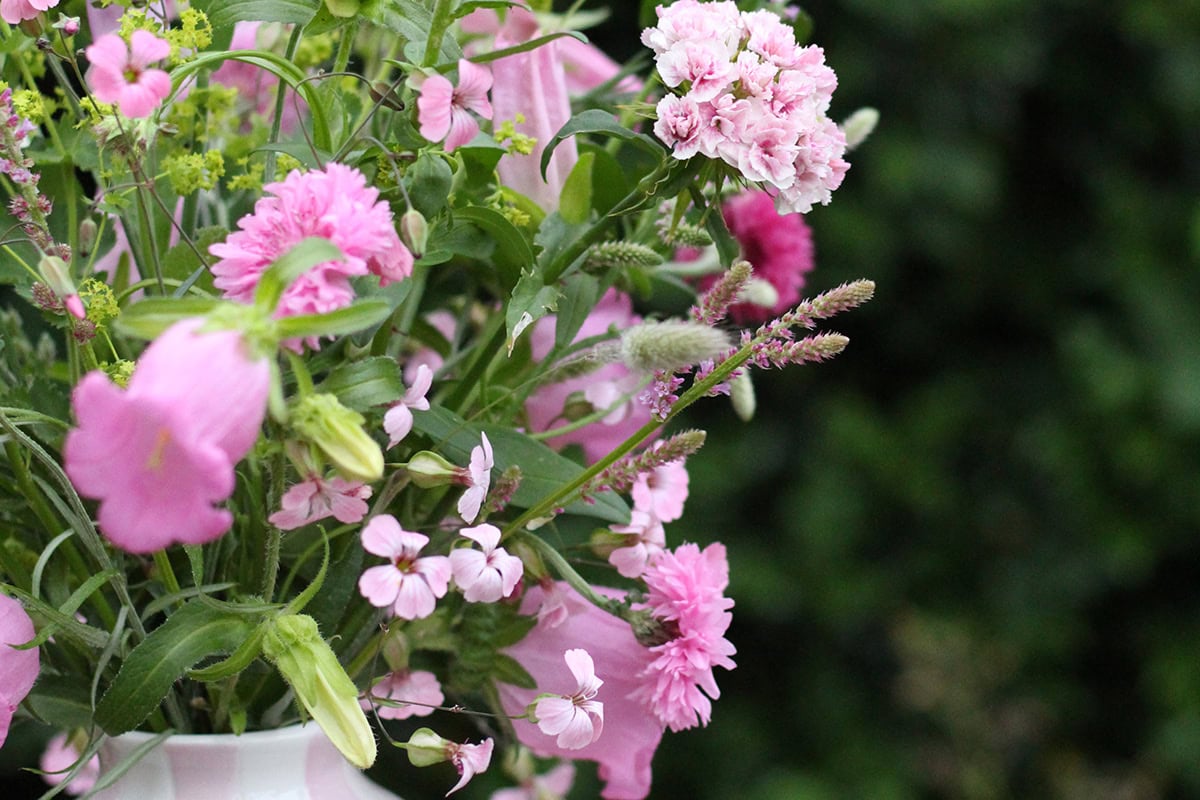 Roze bloemen in een vaas.