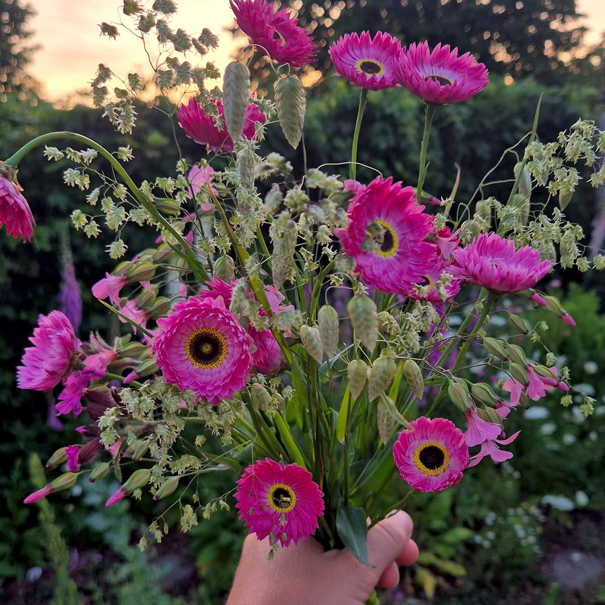 Een roze boeket in de hand, met zonnestrobloemen in het avondlicht.