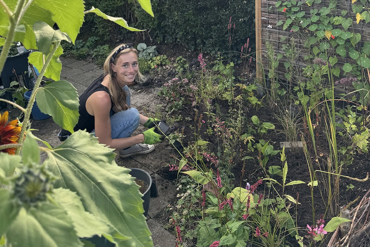 Loes zet roze planten in de grond in haar tuin.