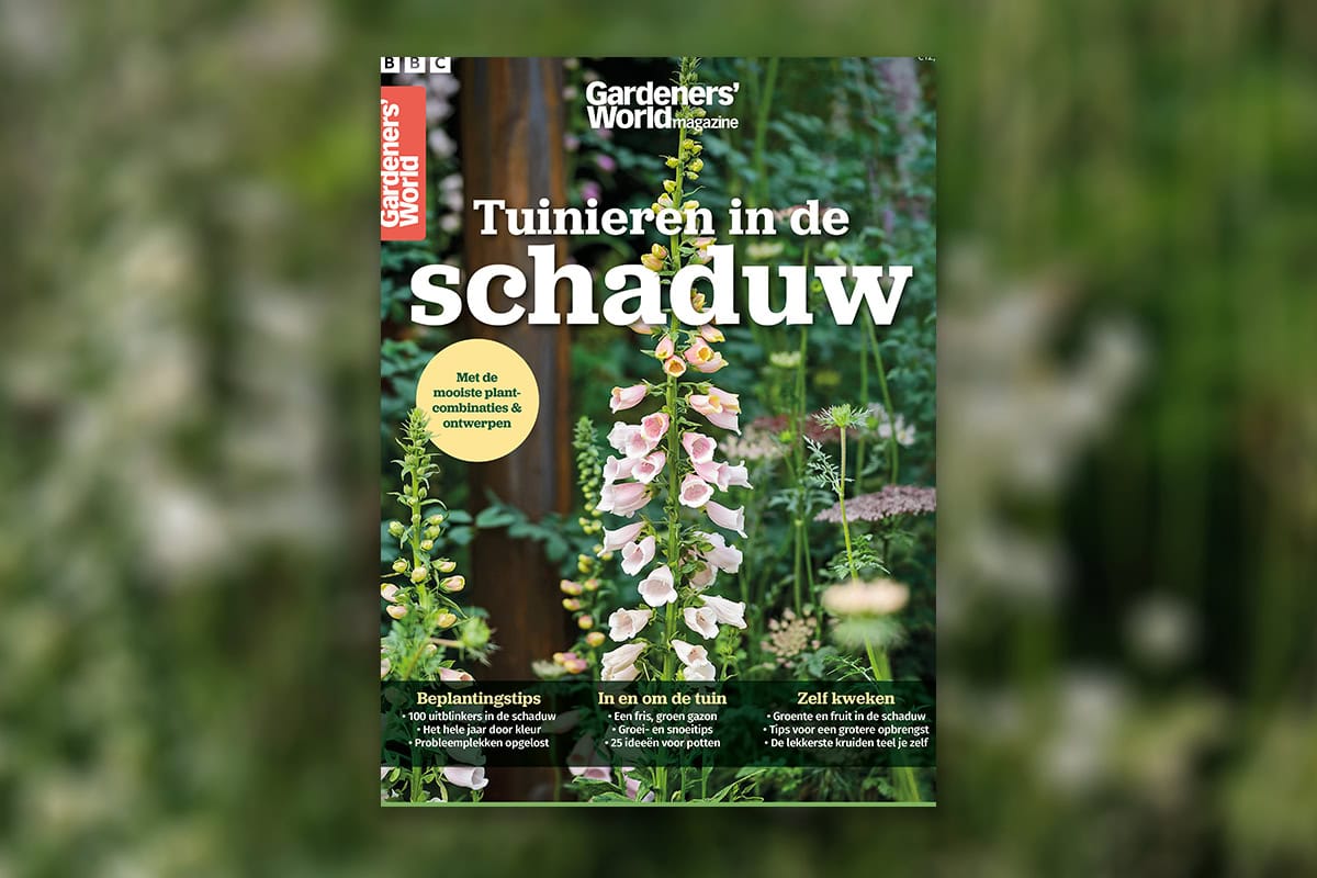 De coverafbeelding van Tuinieen in de schaduw, een speciaal magazine van Gardeners' World.