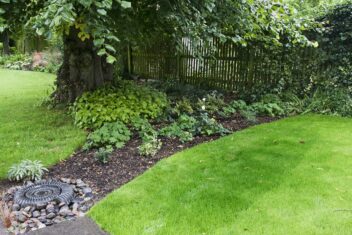 een plantenborder in droge schaduw onder een boom