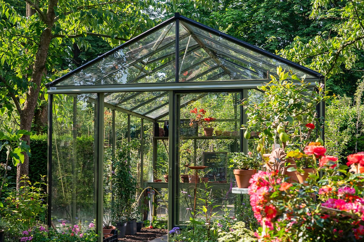 Een kas vol planten achter bloeiende planten.