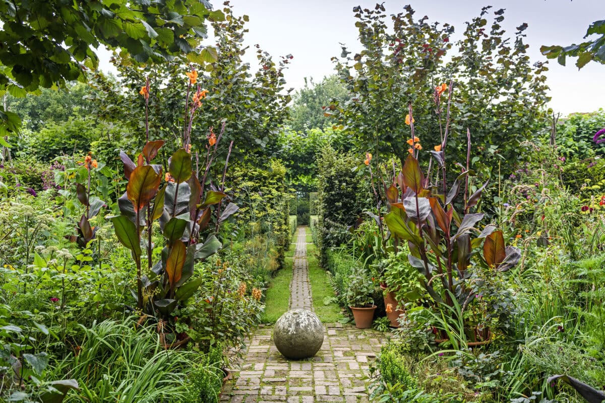 Een tuinpad in Monty Dons Longmeadow met aan weerszijden heggen en daarvoor bloeiende borders.