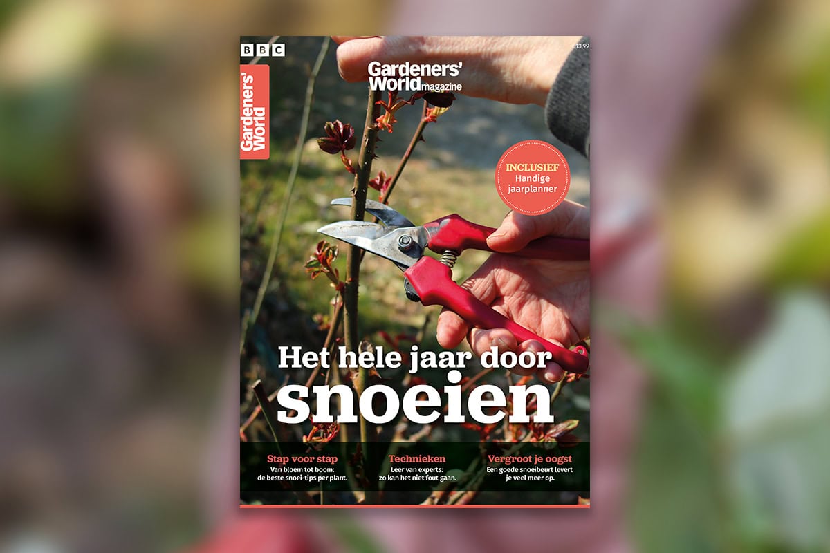 Coverafbeelding 'Het hele jaar door snoeien' tegen een vage achtergrond.