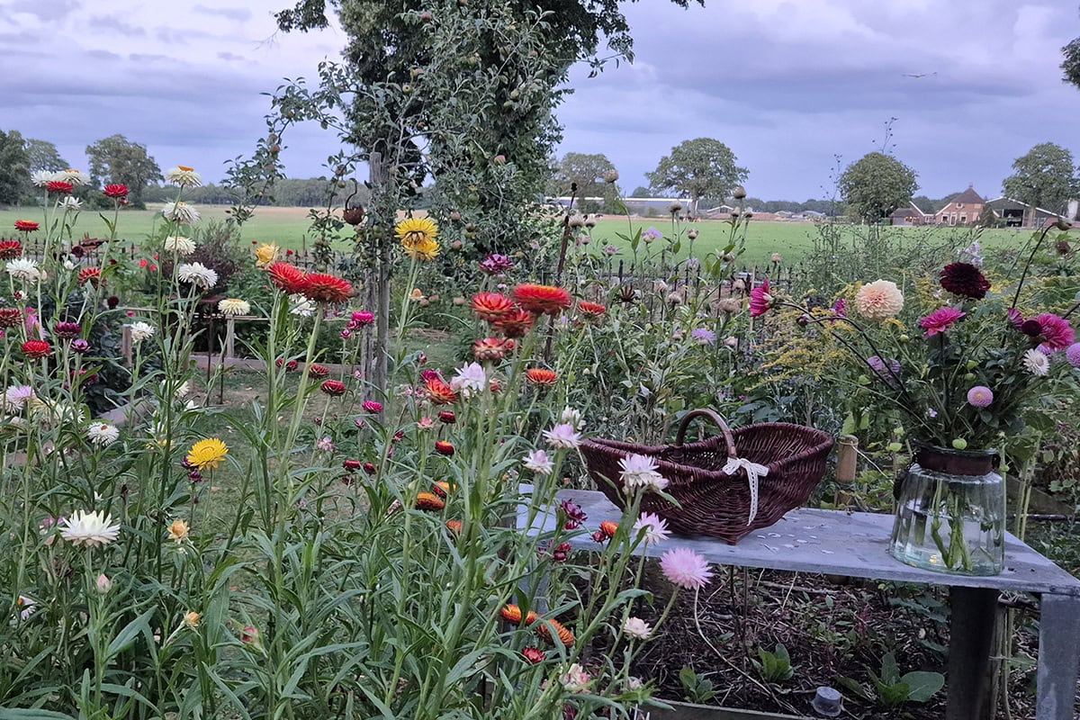 Pluktuin vol bloemen en een tafel met een bos bloemen.