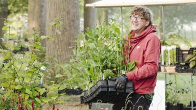 Kweker Pieter met een tray met planten in zijn handen.
