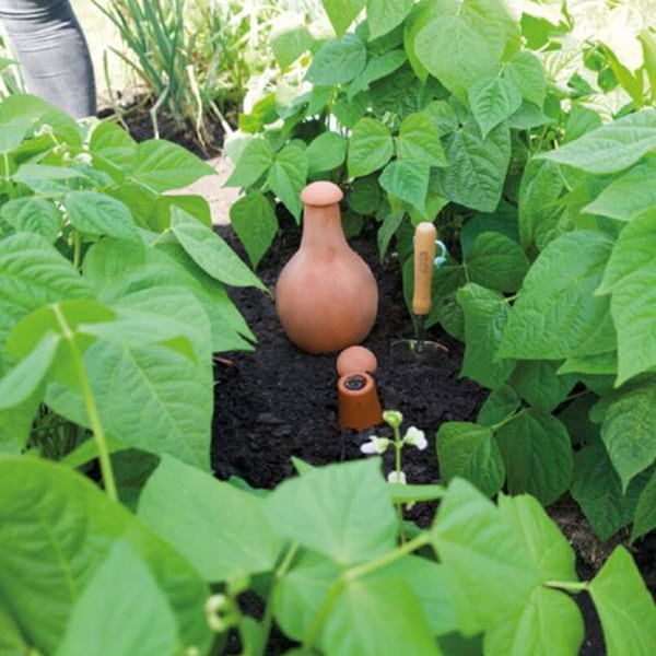 Olla (1,5 liter)