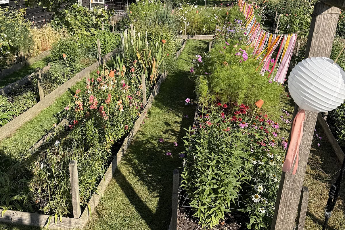 Pluktuin van boven af, vol bloemen.