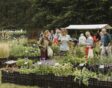 Mensen en planten op de Ambachtelijke Plantenmarkt
