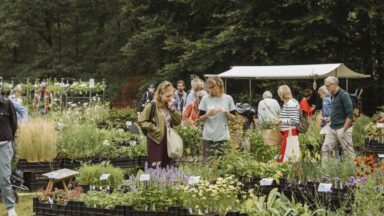 Mensen en planten op de Ambachtelijke Plantenmarkt