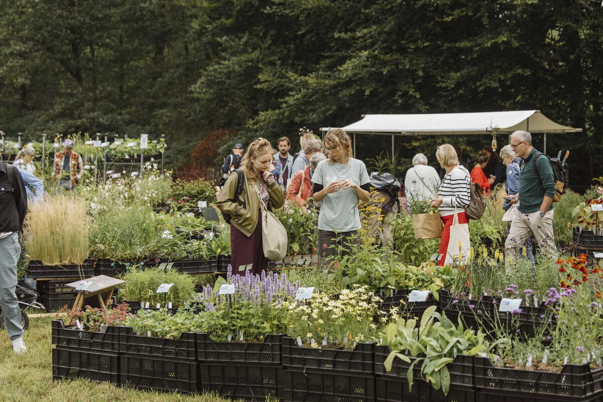Mensen en planten op de Ambachtelijke Plantenmarkt