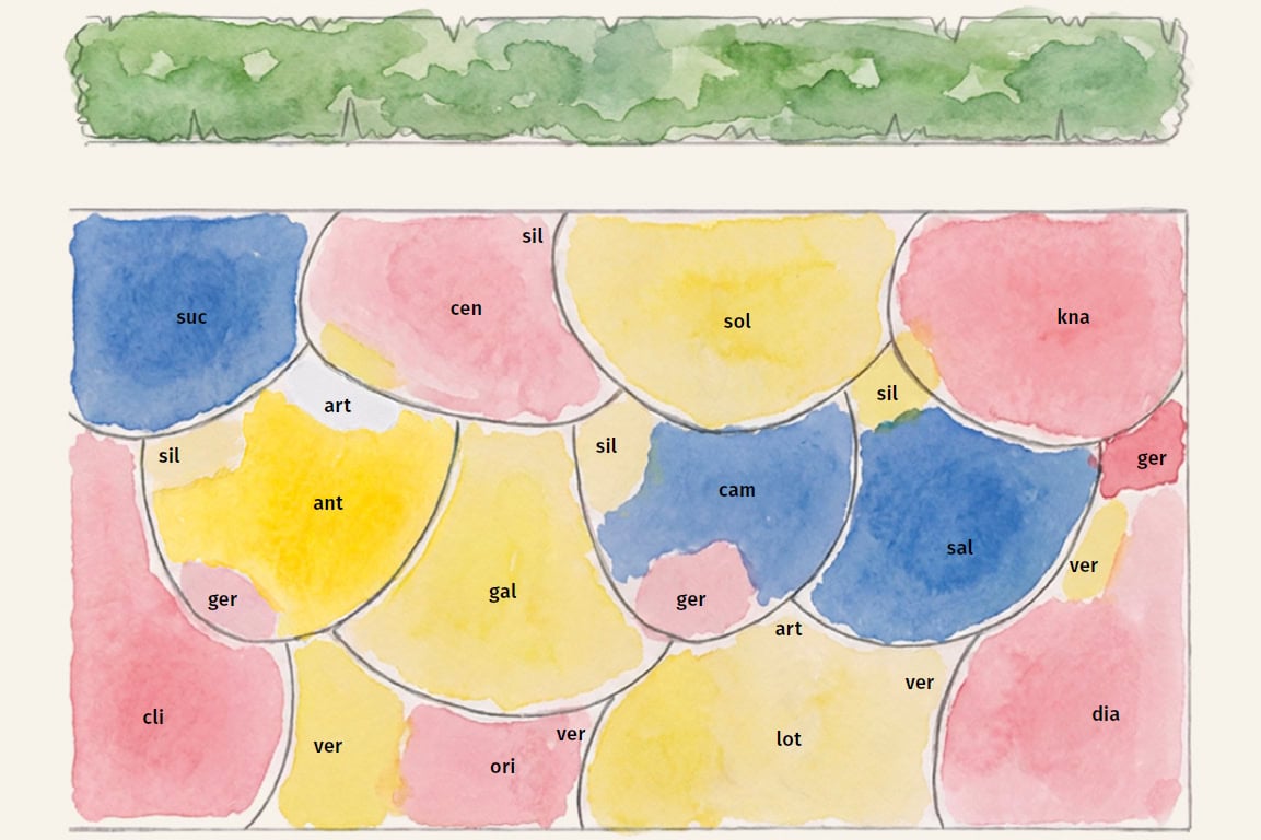 Borderontwerp Jasper Helmantel