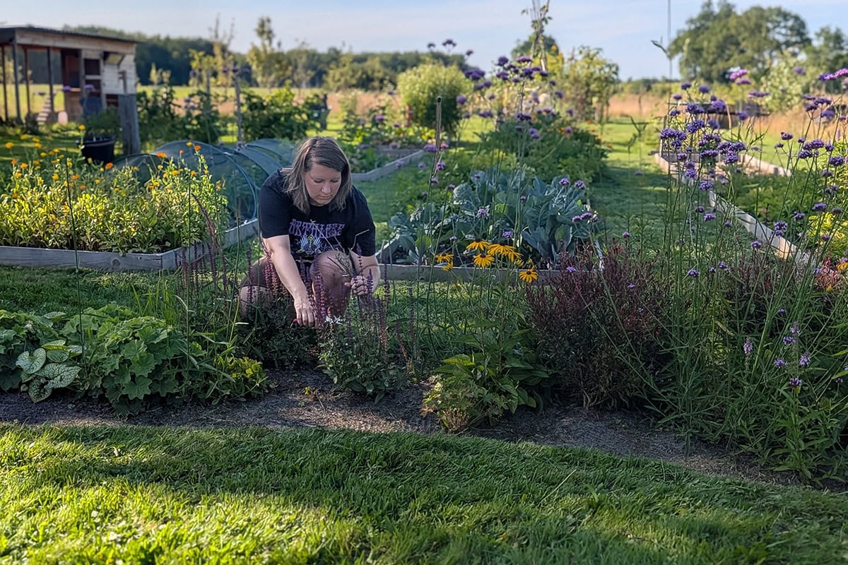 Hester kopt uitgebloeide bloemen in haar nieuwe border.