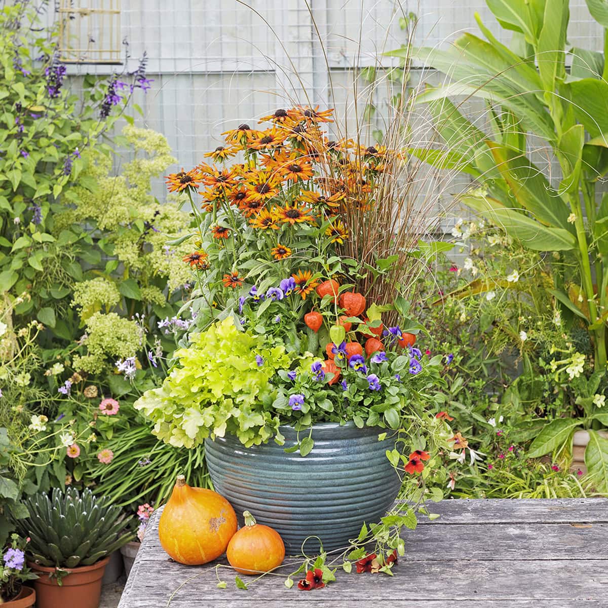 Buitenpot met planten in oranje en groene tinten.