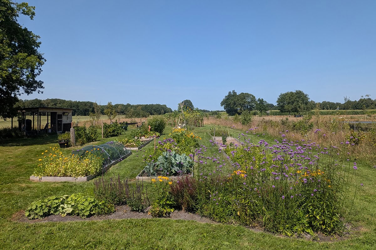 Overview van de bloemenborder, daarachter moestuinbakken en weiland.