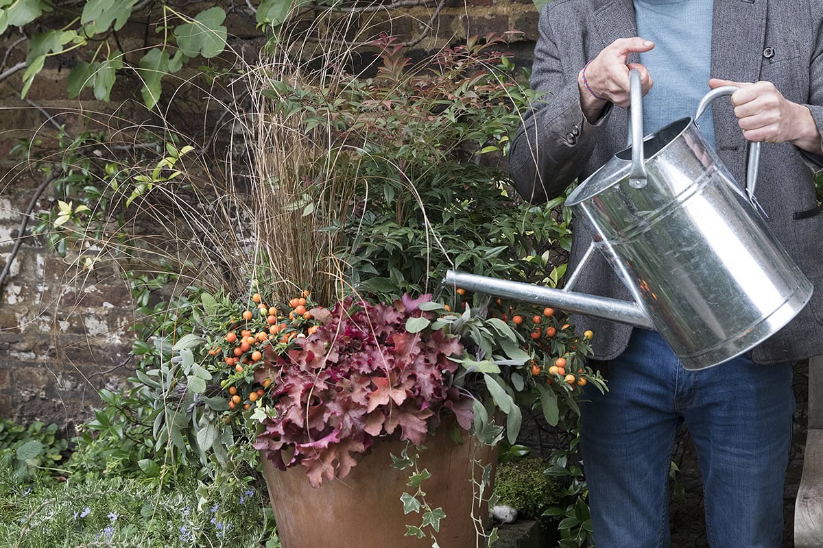 Iemand geeft potplanten water met een gieter.