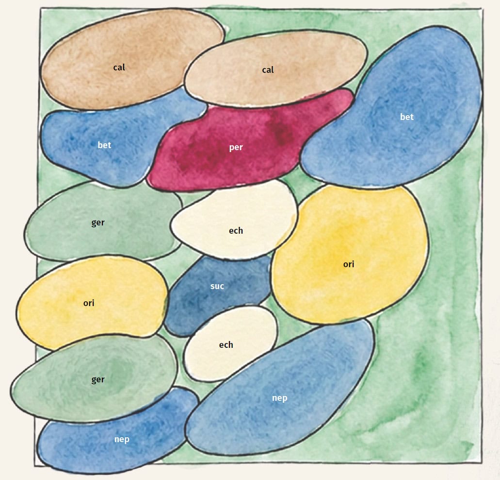 Borderontwerp Anne Wieggers