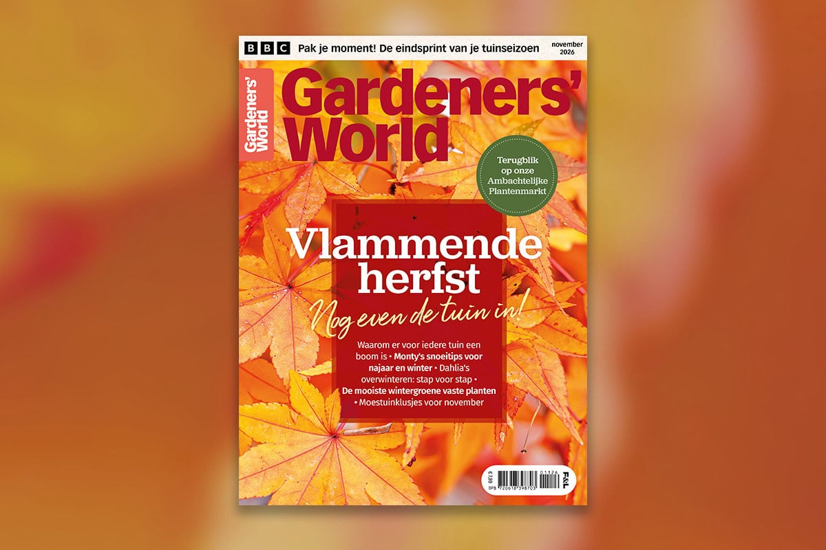 de novembercover van Gardeners' World magazine met daarop orange bladeren en de teksten "Vlammende herfst: nog even de tuin in!"