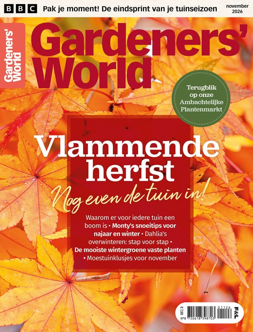 Vlammende herfst