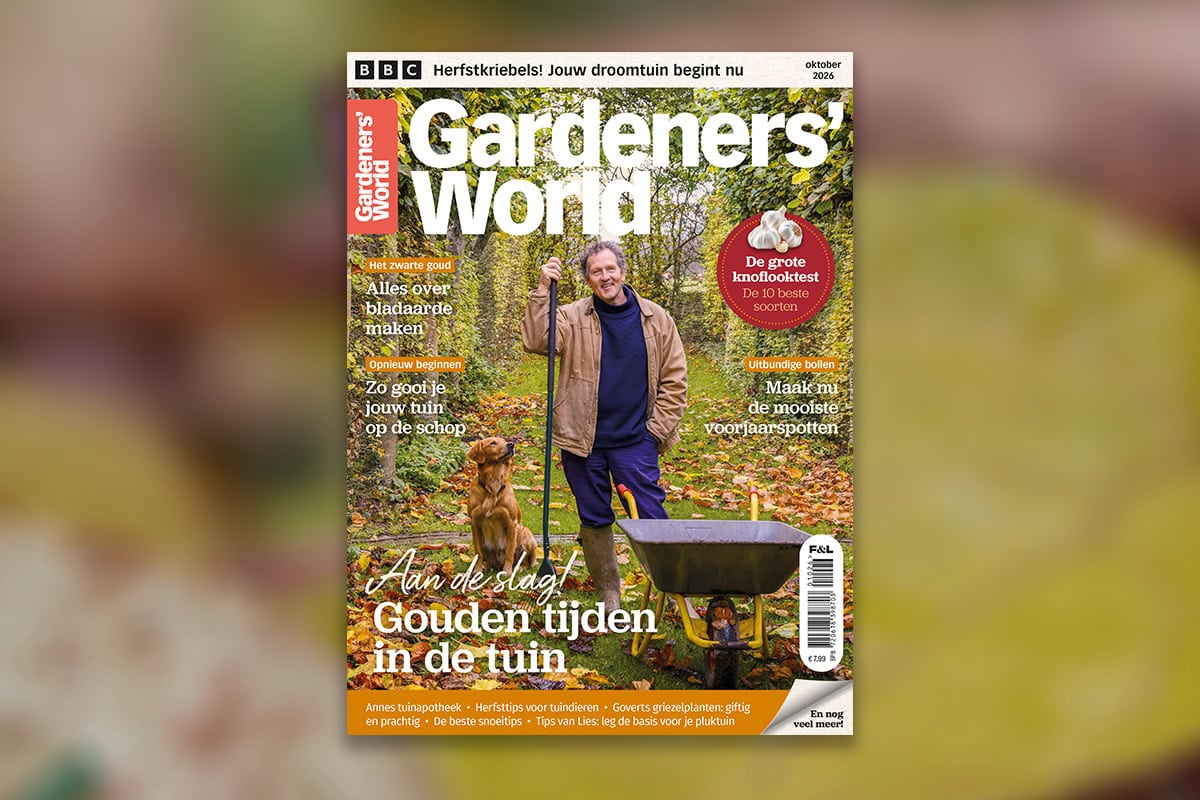 Coverafbeelding van Gardeners' World oktober tegen achtergrond van bladeren.